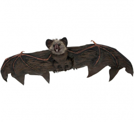 Hanging Bat 79x90 cm