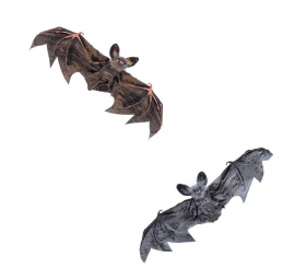 40 cm bat in various colors