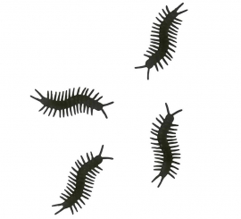 Pack of 10 black centipedes of 10 cm