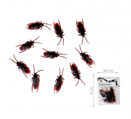 Pack of 10 Brown Cockroaches