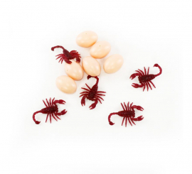 Pack of 12 Scorpions with 6 Eggs