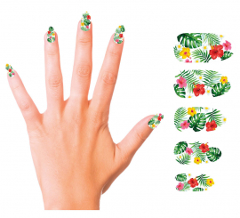 Pack of 12 Exotic Nails with glue