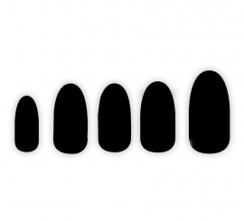 Pack of 12 black nails