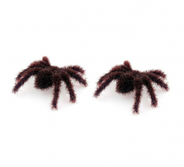 Pack of 2 Brown Hairy Tarantulas