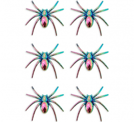 Pack of 6 Spiders