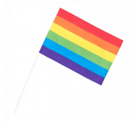 Pack of 6 Rainbow Flags 20x14 cm