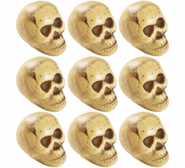 Pack of 9 5cm Skulls
