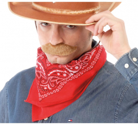 Cowboy scarf assorted colors