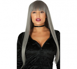 Long Gray Wig with Bangs