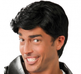 Men's Danny Black Wig