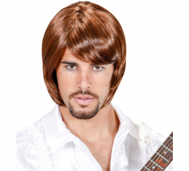 Pop Star Bjorn 70s Wig