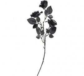 Bouquet of black roses with eyes