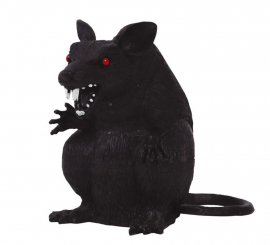 18 cm sitzende Ratte