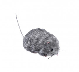 27cm grey furry mouse