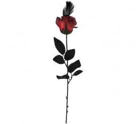 Rose with Feather