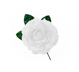 Small white Flamenco Rose 8 cm