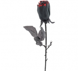 46cm black and red rose