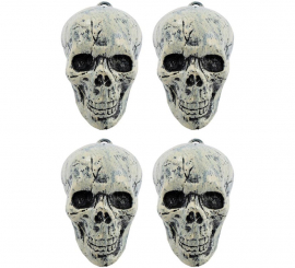 Conjunto de 4 caveiras Conjunto de 4 caveiras