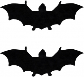 Bat Silhouette