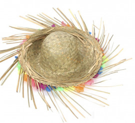 Adult Hawaii Straw Hat