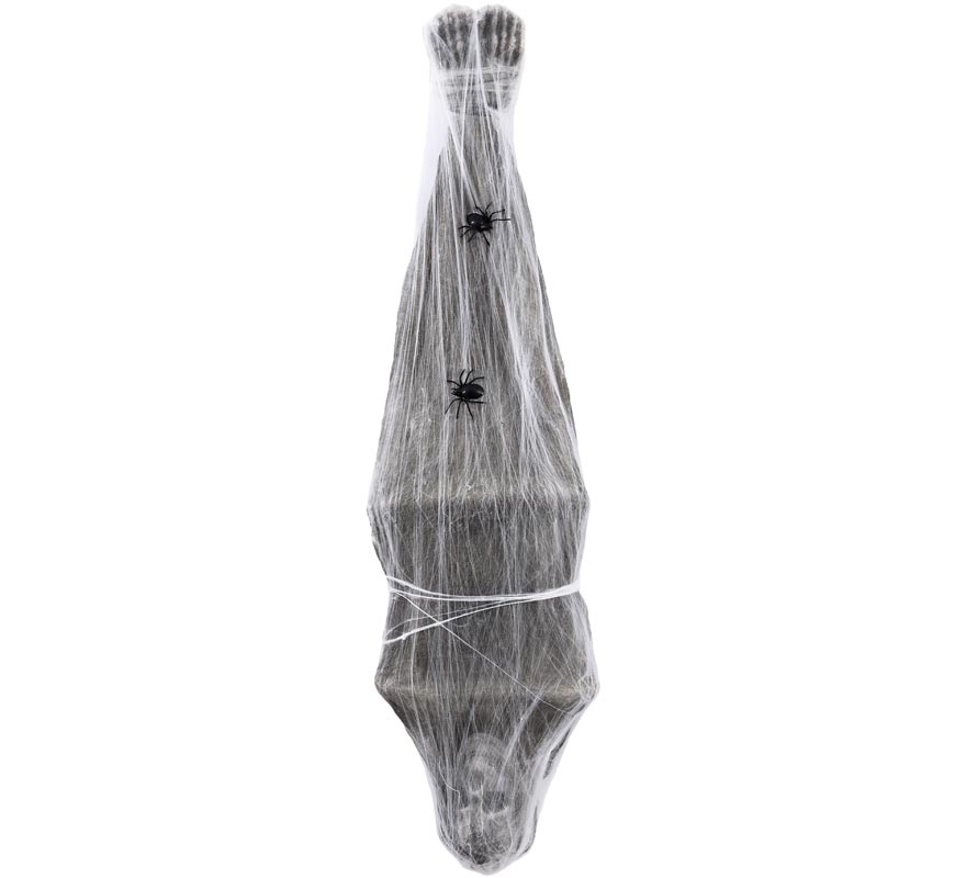 Mummy Hanging Upside Down