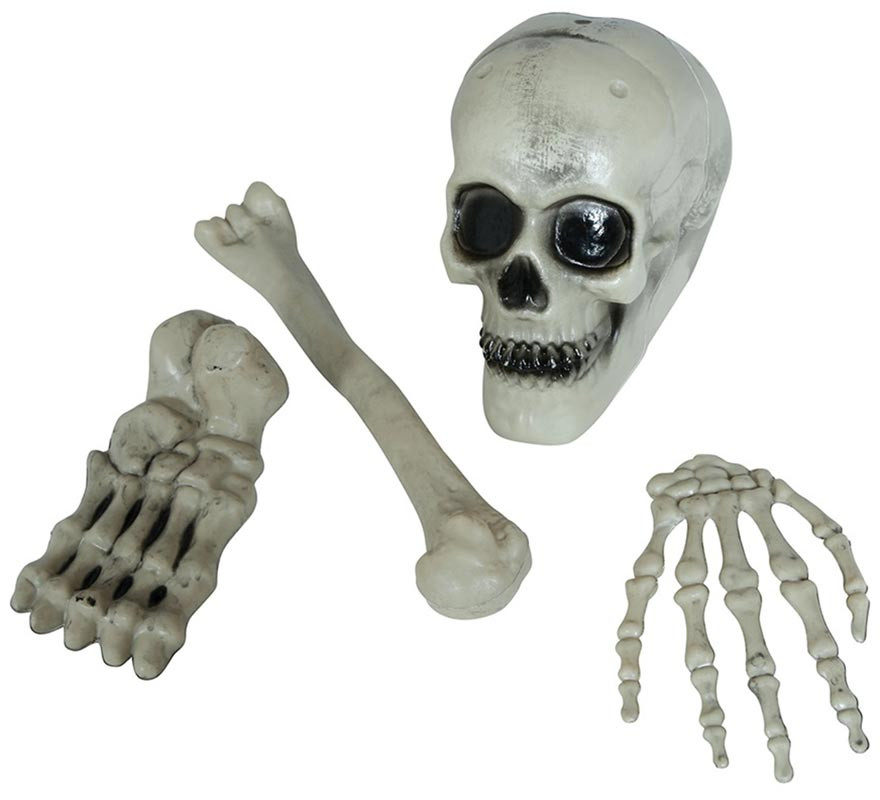 Pack of 4 Skeleton Bones