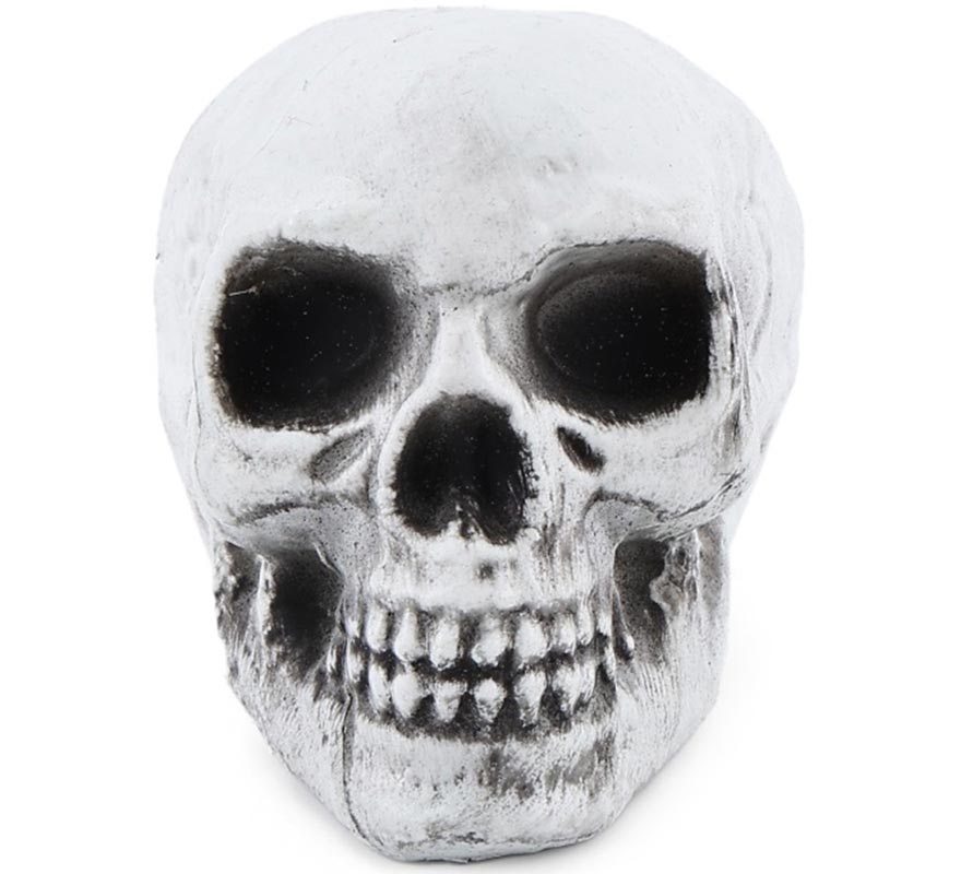 Pack of 6 Skulls