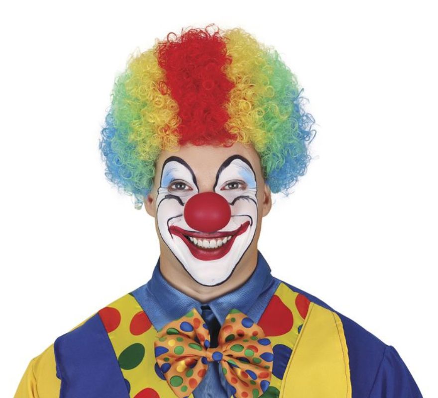 Curly Clown wig in various colors