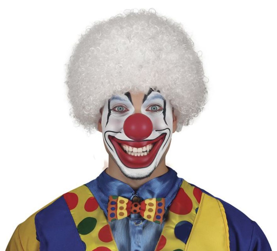 Curly Clown wig in various colors