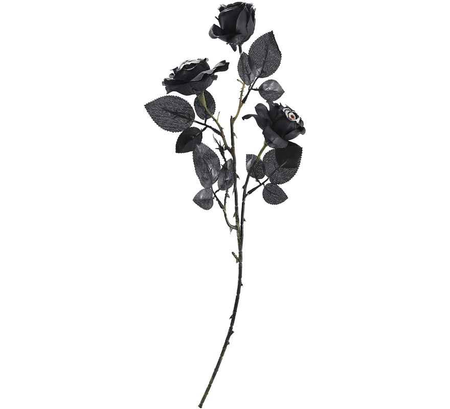 Bouquet of black roses with eyes