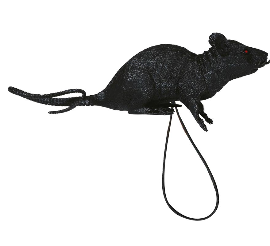 Rat with 16 cm Elastic Shoulder Strap