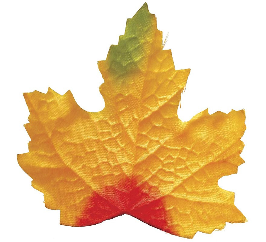 24 Orange Pumpkin Leaves-B