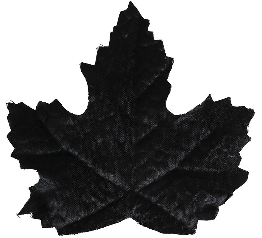 24 Black Pumpkin Leaves-B