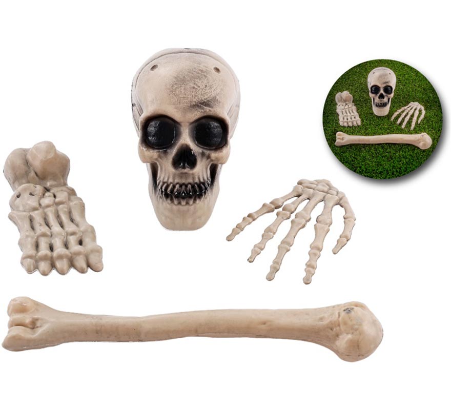 4er-Pack Skelettknochen-B