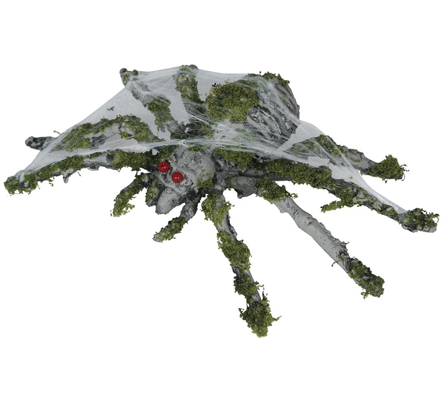 Aranha musgosa de 22 cm-B