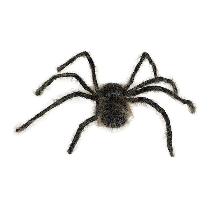 75 cm große braune haarige Spinne-B