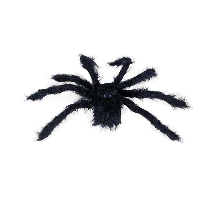 Araignée poilue noire de 50 cm-B