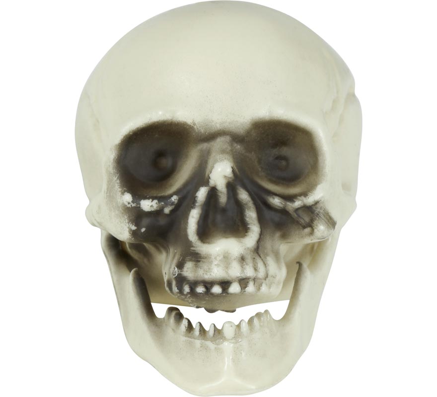 Saco com 6 Caveiras de 6 cm-B