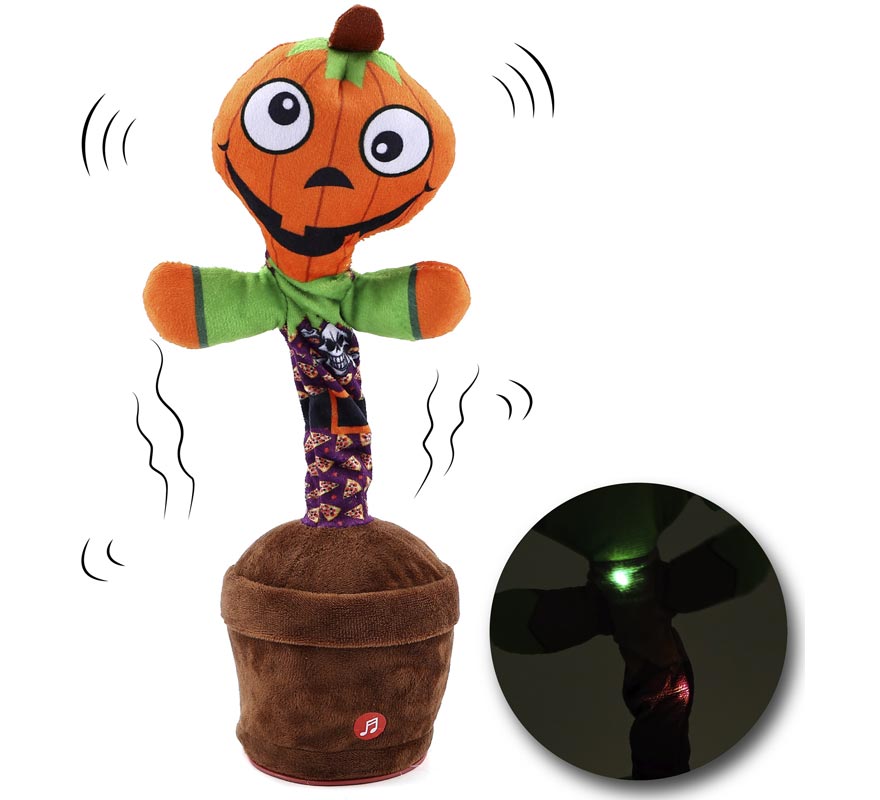 Calabaza Bailarina-B