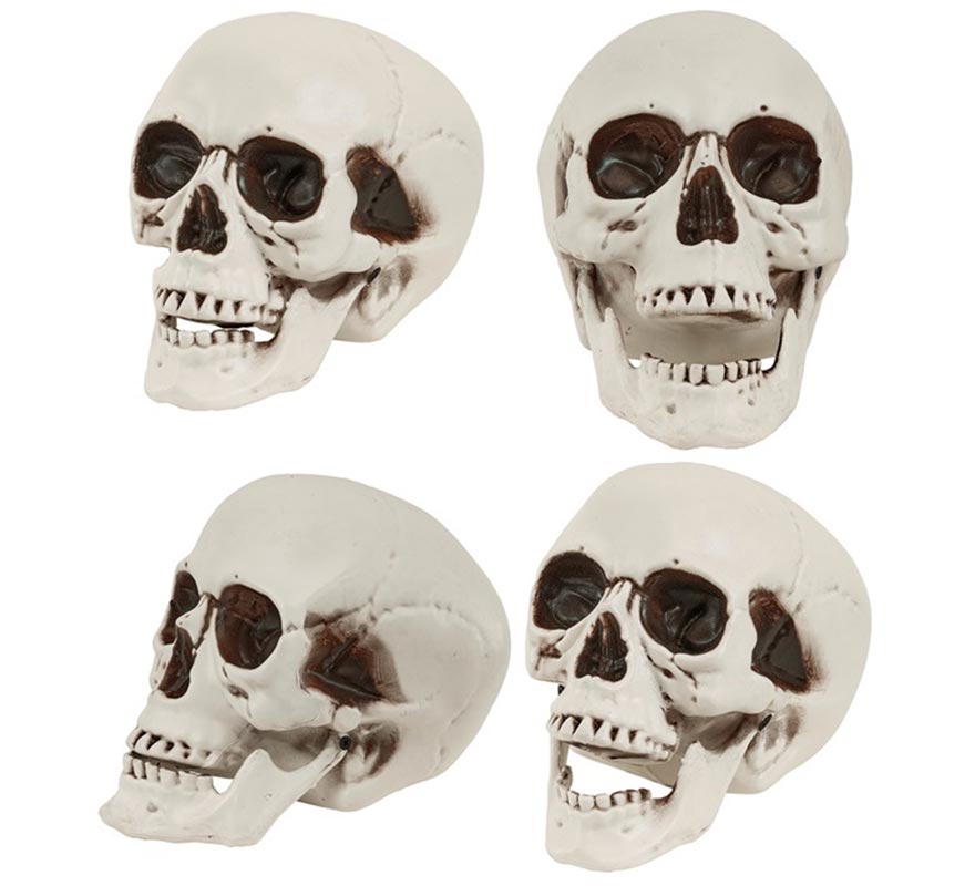 Cráneo o Calavera con Mandíbula Móvil de 12 cm-B