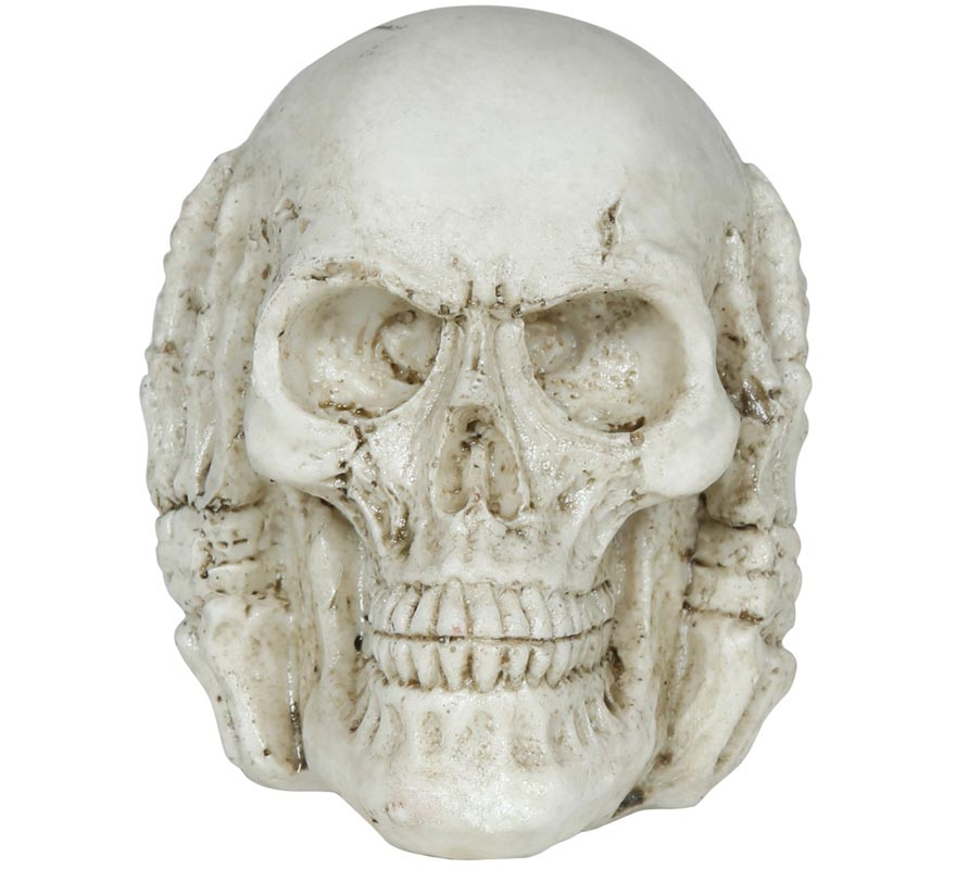 6cm Resin Skull-B