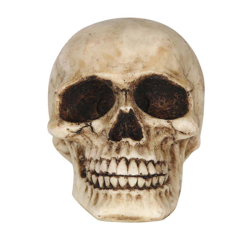 Crâne en résine de 8 cm-B