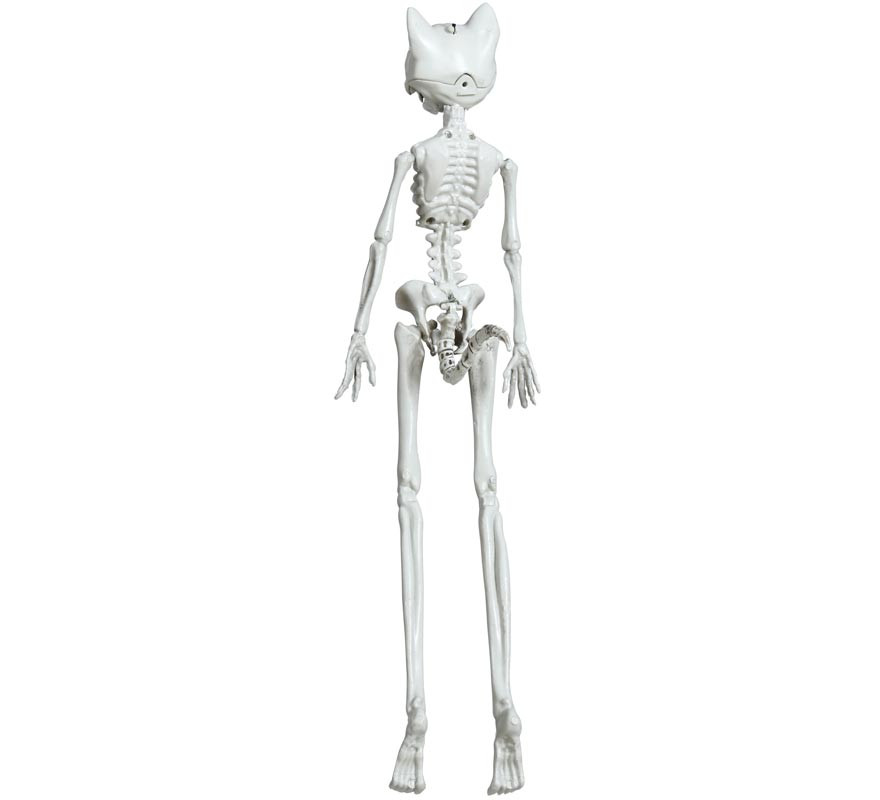 Cat Skeleton Pendant 37 cm-B