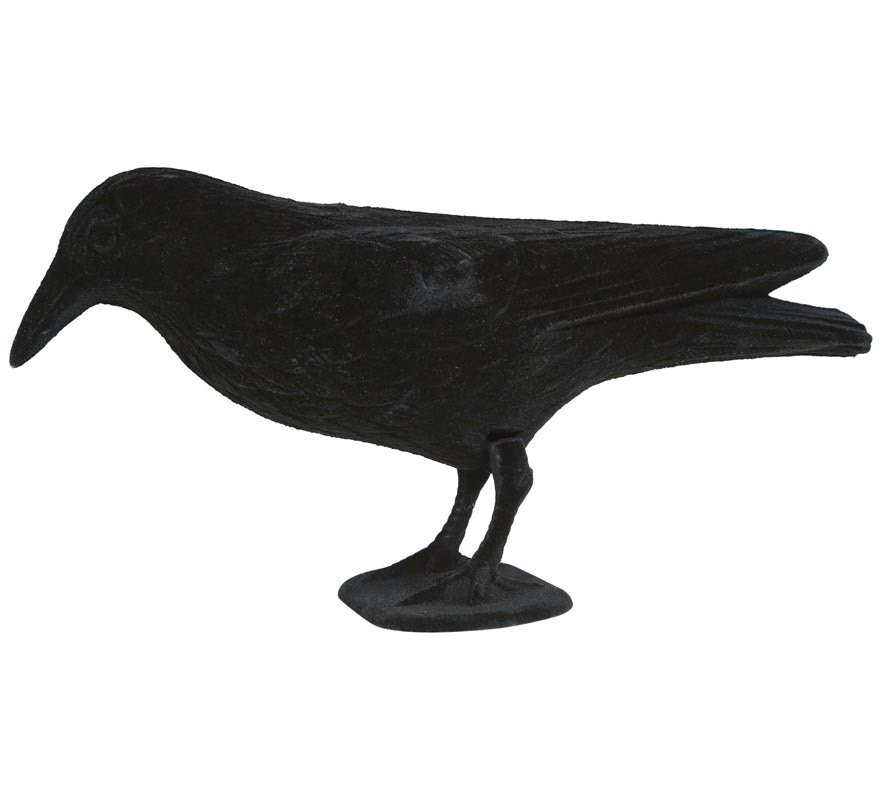 Black Crow 30cm-B