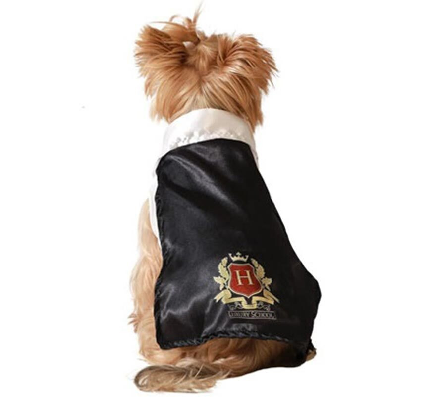 Magician's Apprentice Dog Costume-B