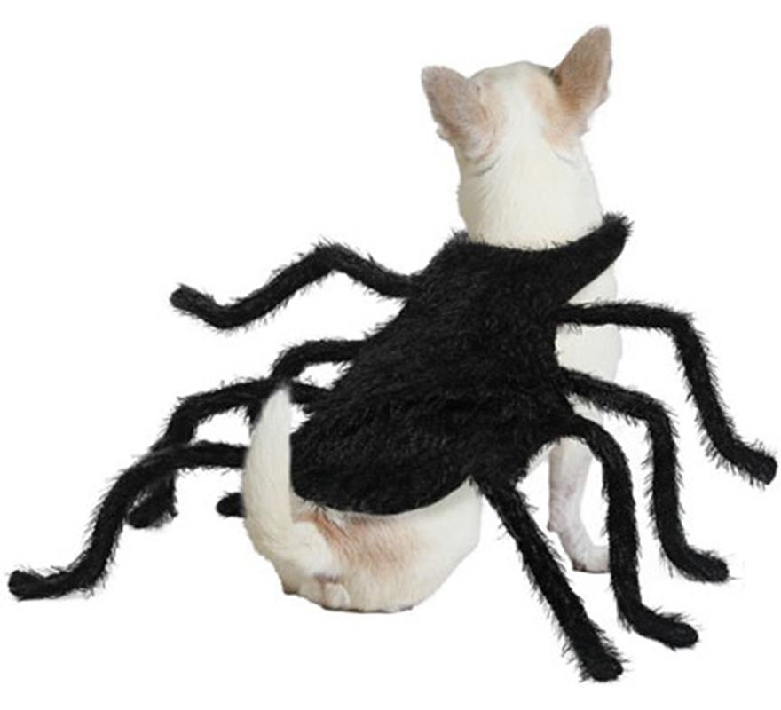 Fantasia de aranha tarântula peluda para cães-B