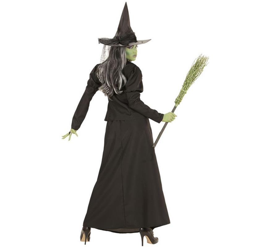 Women's Fairytale Witch Costume-B