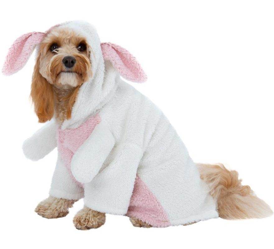 Disfraz de Conejo de Pascua para perro-B