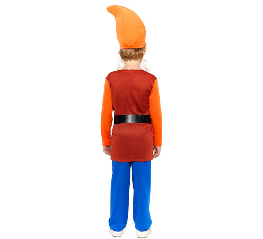 Disfraz de Enanito Blancanieves marrón para niño-B