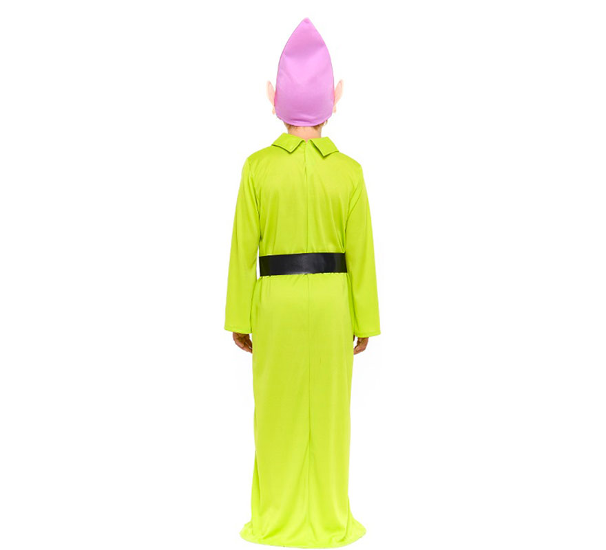 Disfraz de Enanito Blancanieves verde para niño-B